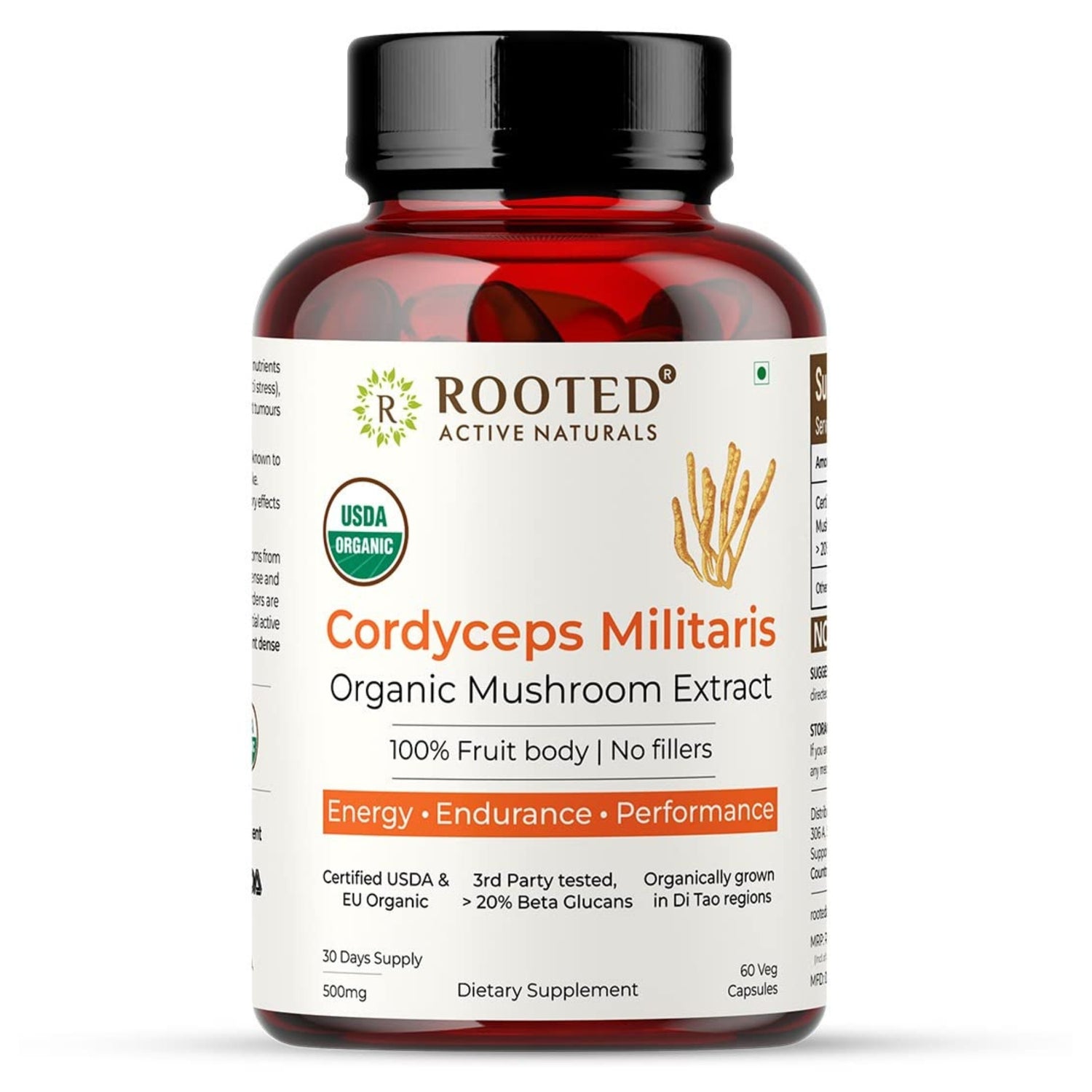 CORDYCEPS | ENERGY BOOSTER (Capsules)