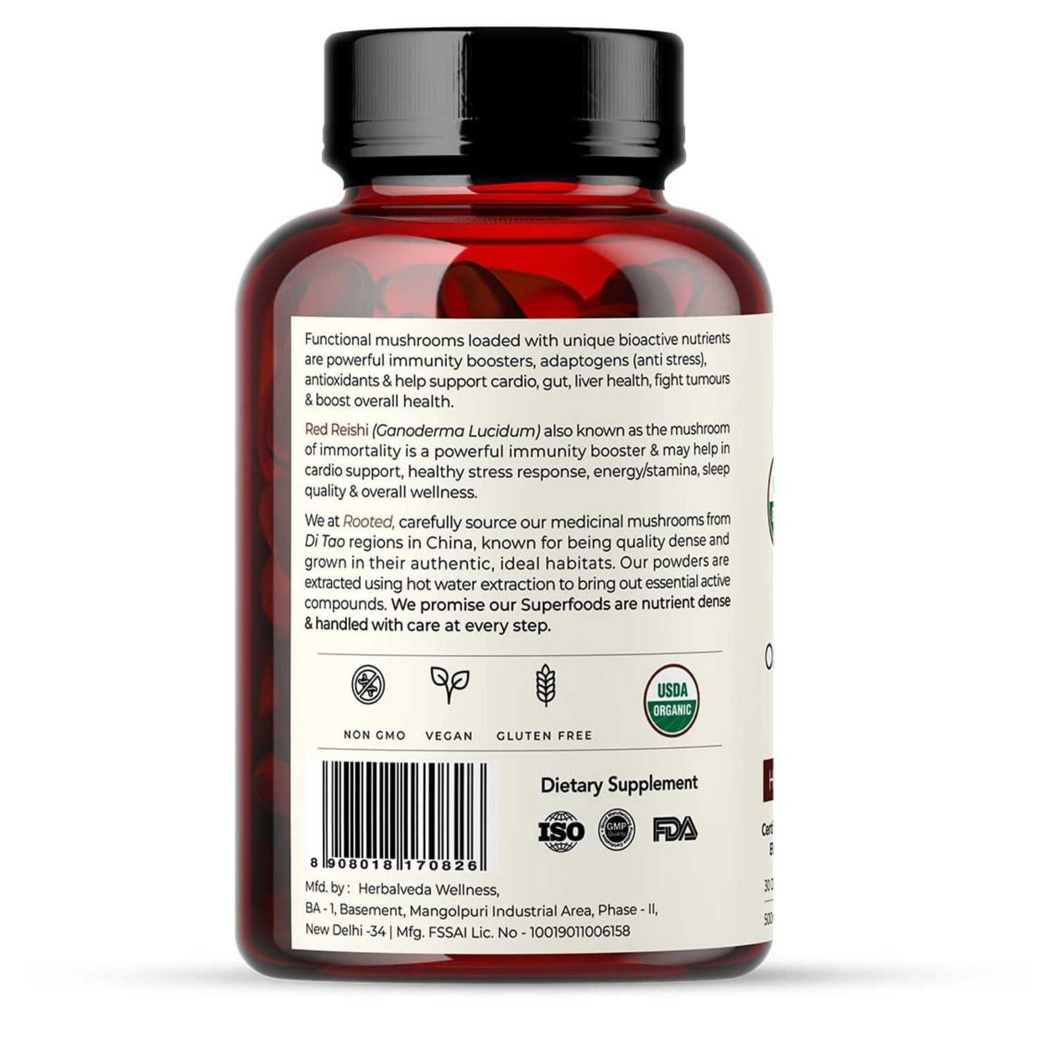 REISHI | HOLISTIC LONGEVITY (Capsules)